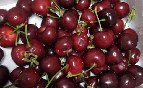 樱桃花450字作文