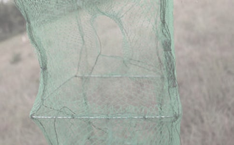 大渔网三年级作文