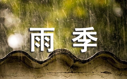 心悸·雨季初一作文