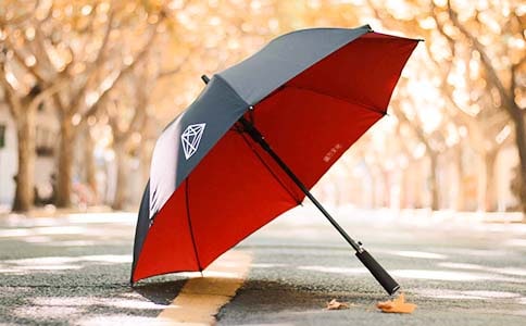 一年级作文：我有一把小雨伞