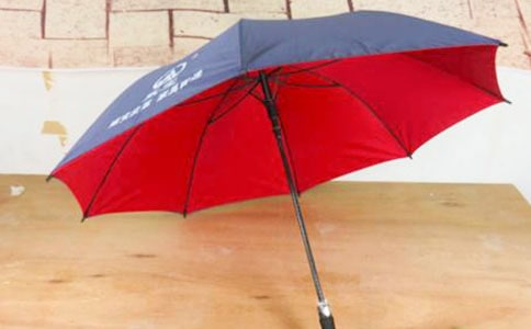 神奇的雨伞三年级作文(精选5篇)