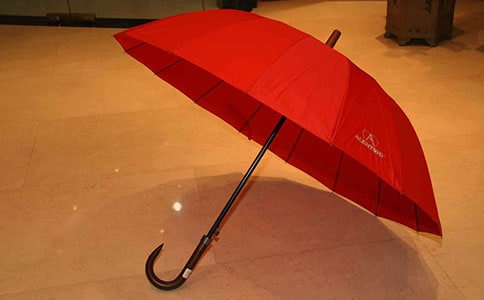 雨伞人作文范文