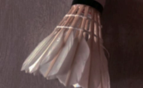 打羽毛球小学四年级作文350字