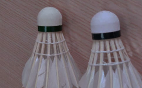 都是羽毛球惹的.祸二年级作文