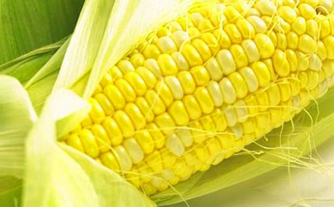 第一次掰玉米作文