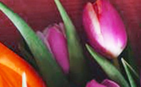 郁金香一年级作文