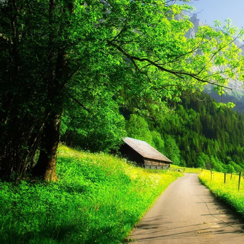 适合做微信头像的照片