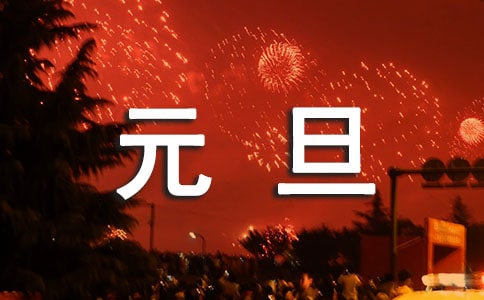 元旦那天发生的事作文