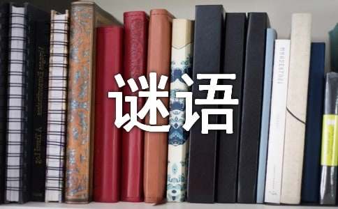 最新谜语及答案大全