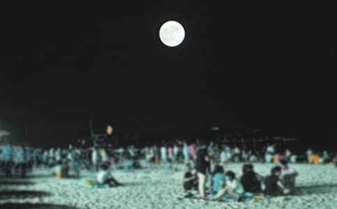 晓月圆舞曲初一作文850字