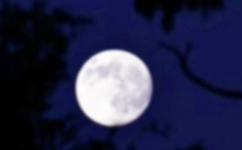 月圆之夜初一作文