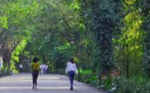 爬山日记合集6篇