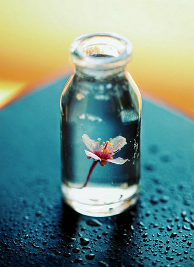 对人生感悟的句子图片