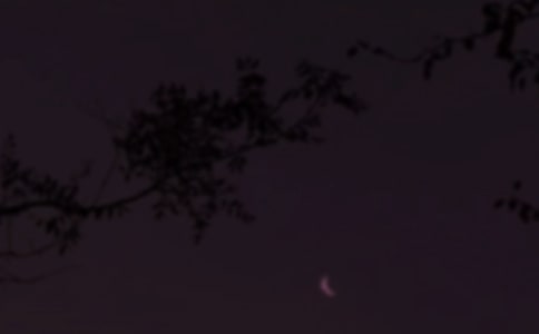 2026年常用晚安心语语录合集39句