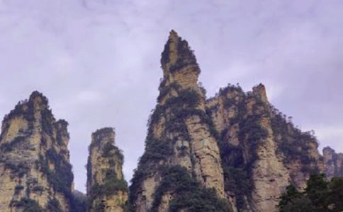 张家界天子山优秀作文