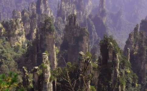 人间仙境张家界六年级作文600字