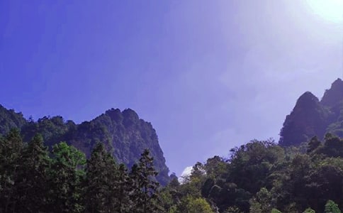 美丽的张家界初三作文