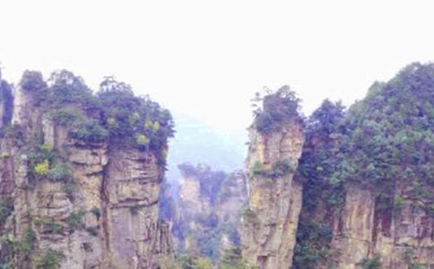 迷人的张家界小学作文600字范文3篇