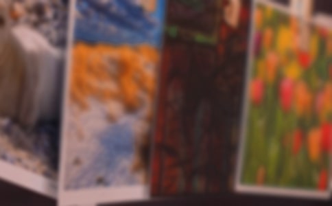 老照片旧时光作文