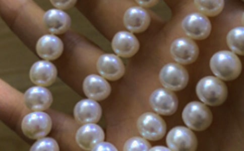 珍珠鸡二年级作文