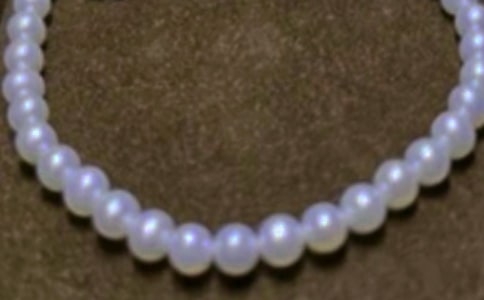 拾起心中的珍珠初二作文600字