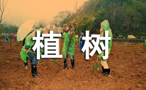 有关植树的作文二年级
