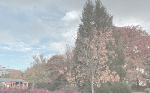 植物园钓鱼优秀作文