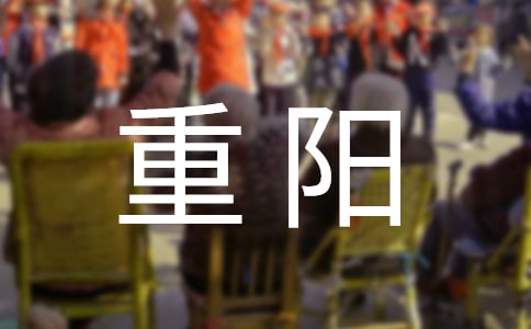 温暖重阳优秀作文