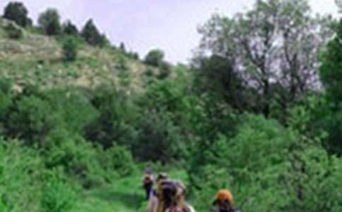 实用的爬山日记五篇