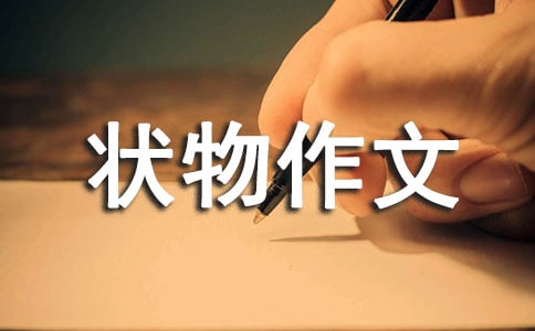 我家的.团团圆圆三年级状物作文450字