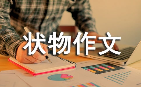 六年级状物作文