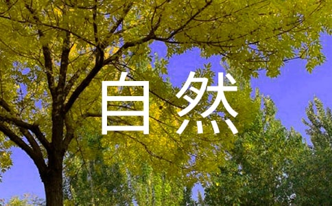 【精品】我爱大自然作文四篇