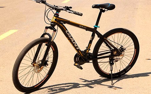 买小自行车三年级作文