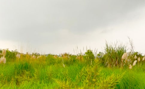 走进和谐的春天优秀学生作文