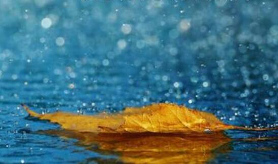 夜雨寥落自悲伤