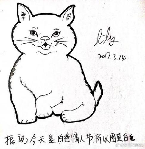 胖乎乎的白猫简笔画画法 可爱肥胖猫咪怎么画 猫咪咪简笔画卡通画绘画