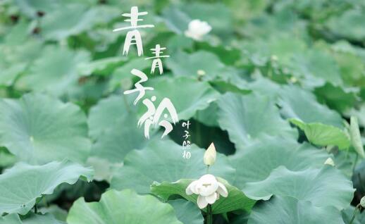 青青子衿，一眼万年