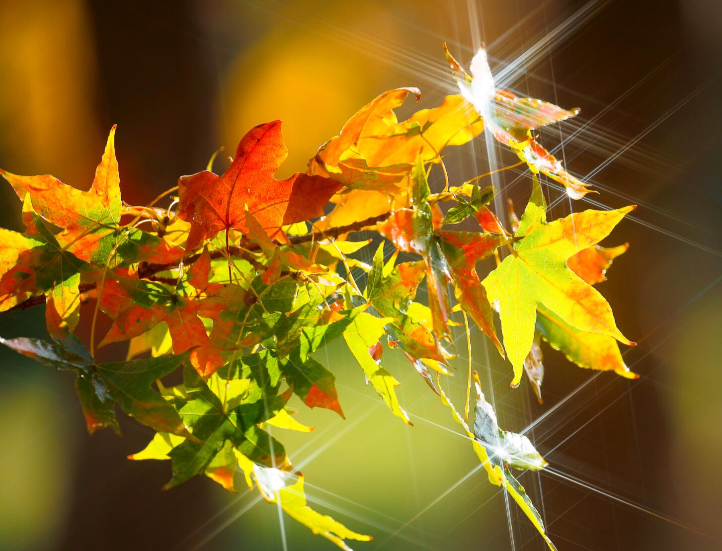 我不是你生命中的匆匆过客