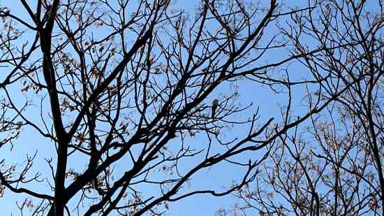 时尚有创意的五金公司名字