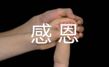 形容感恩的句子27句