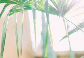 最糟糕的是连自己都没做好