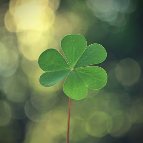 适合做微信头像的照片