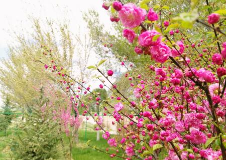 生活需要一种激情