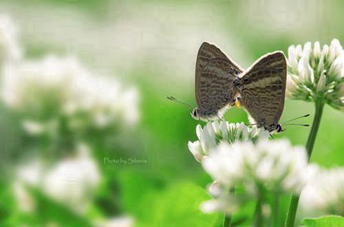 阴雨天伤感句子 下雨伤感语录