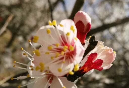 生活需要一种激情