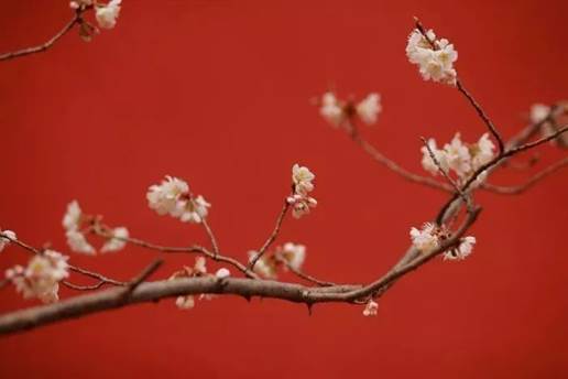 新年献词:过往清零待新生