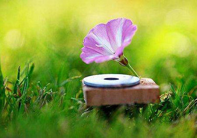 对人生感悟的句子说说