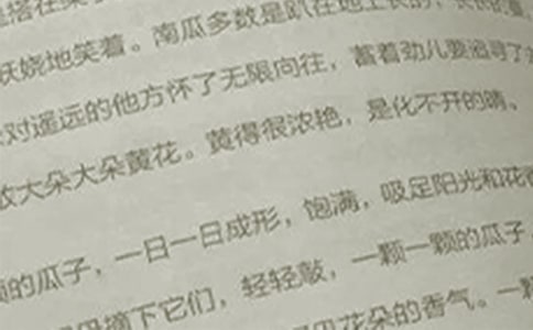 高考语文经典作文范文