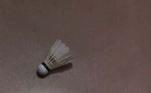 打羽毛球优选(15篇)