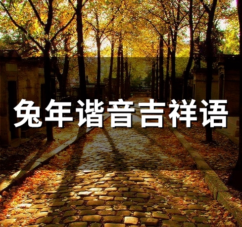 兔年谐音吉祥语(45句) 兔年谐音吉祥语(45句)